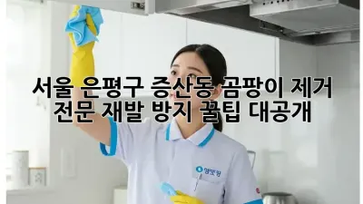 서울 은평구 증산동 곰팡이 제거 전문: 재발 방지 꿀팁 대공개!